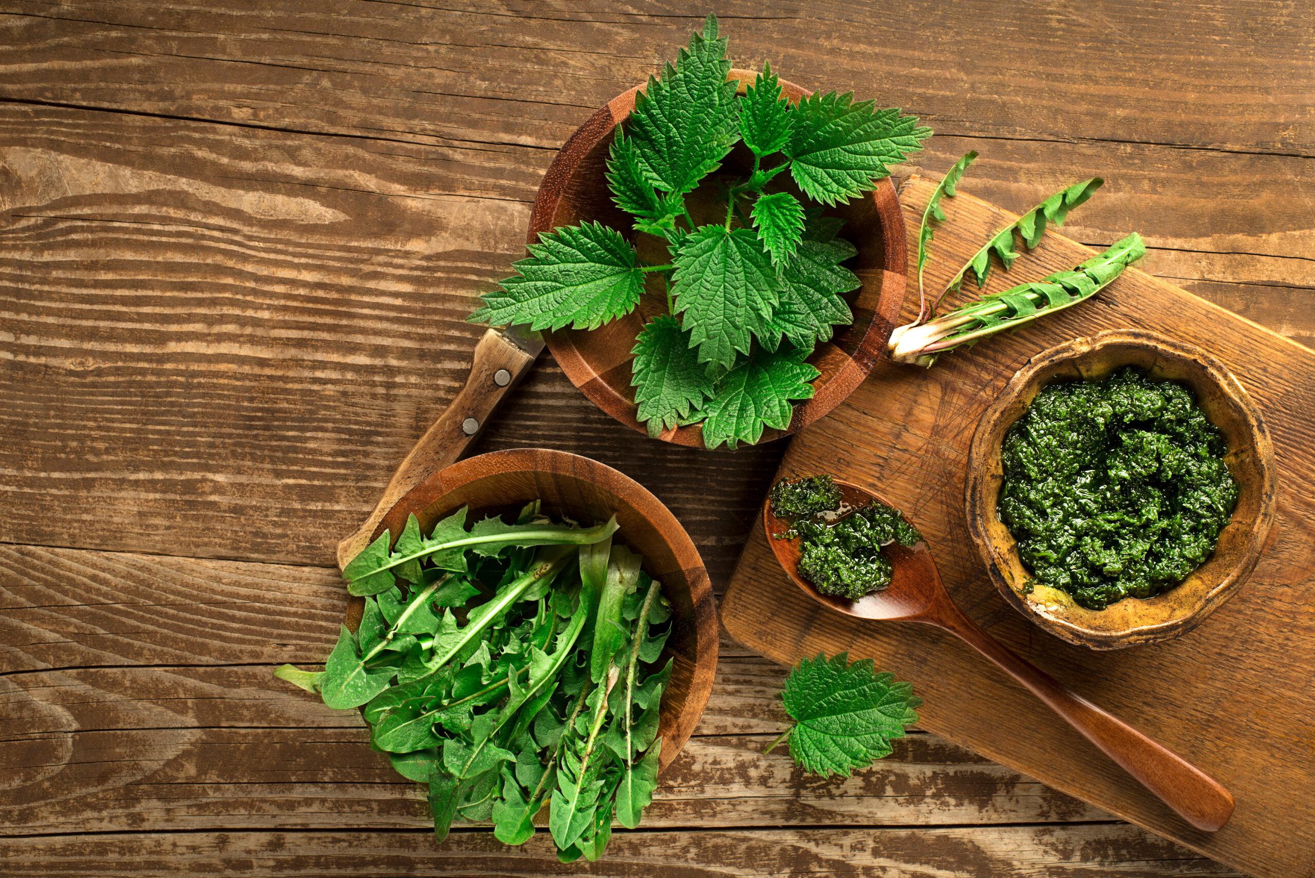 herbs for medicines